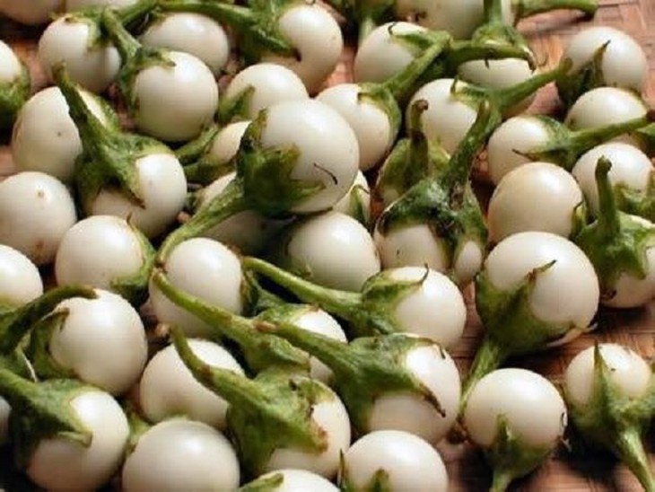Quả c&agrave; c&oacute; độc kh&ocirc;ng? lời giải đ&aacute;p cho c&acirc;u n&oacute;i ' Một quả c&agrave; bằng ba thang thuốc ' - Ảnh 2.