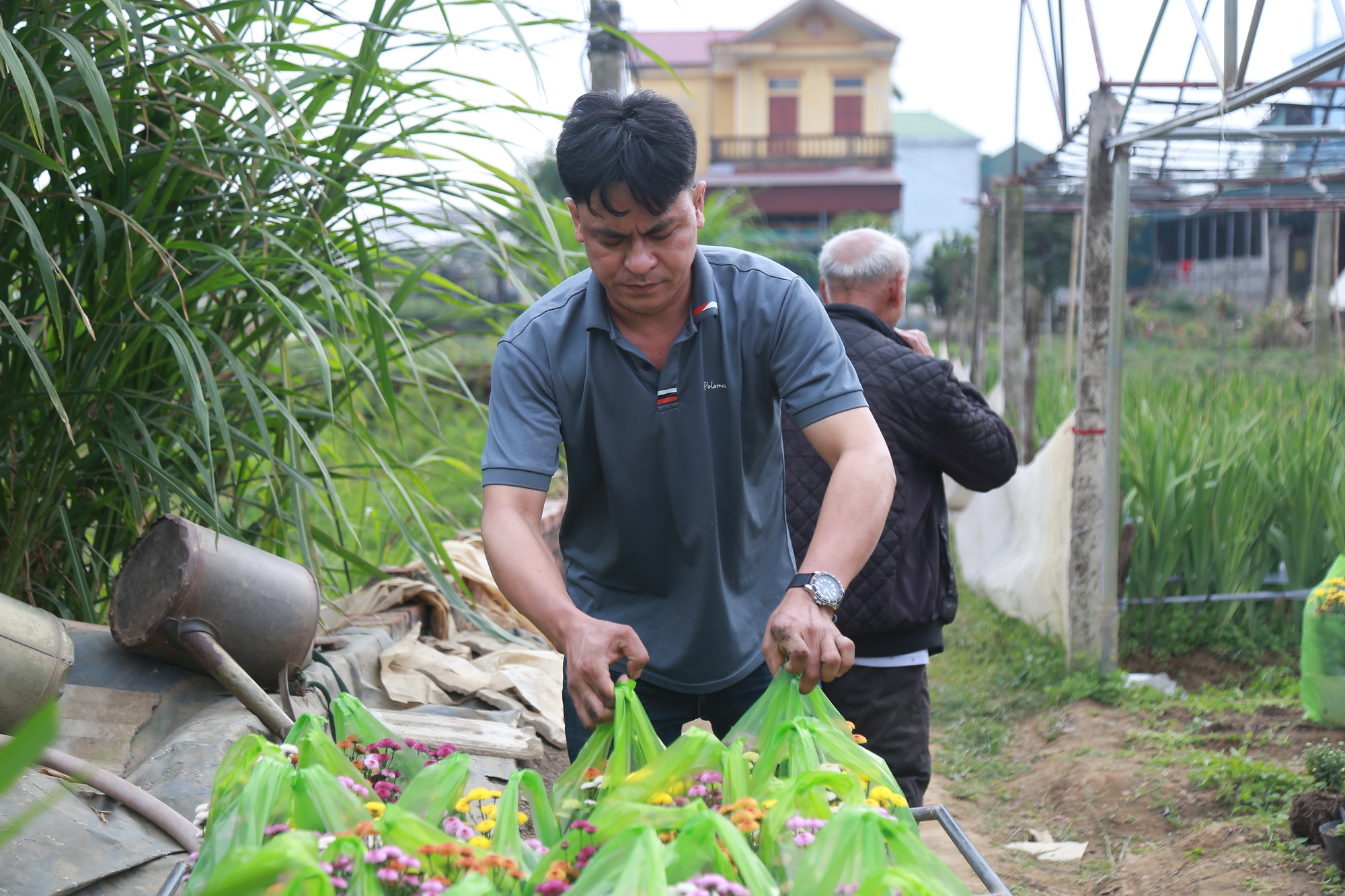 Cảnh tất bật tại làng hoa Ninh Phúc , Ninh Bình những ngày cận Tết Nguyên đán 2026 - Ảnh 6. Cảnh tất bật tại làng hoa Ninh Phúc , Ninh Bình những ngày cận Tết Nguyên đán 2026 - Ảnh 6.