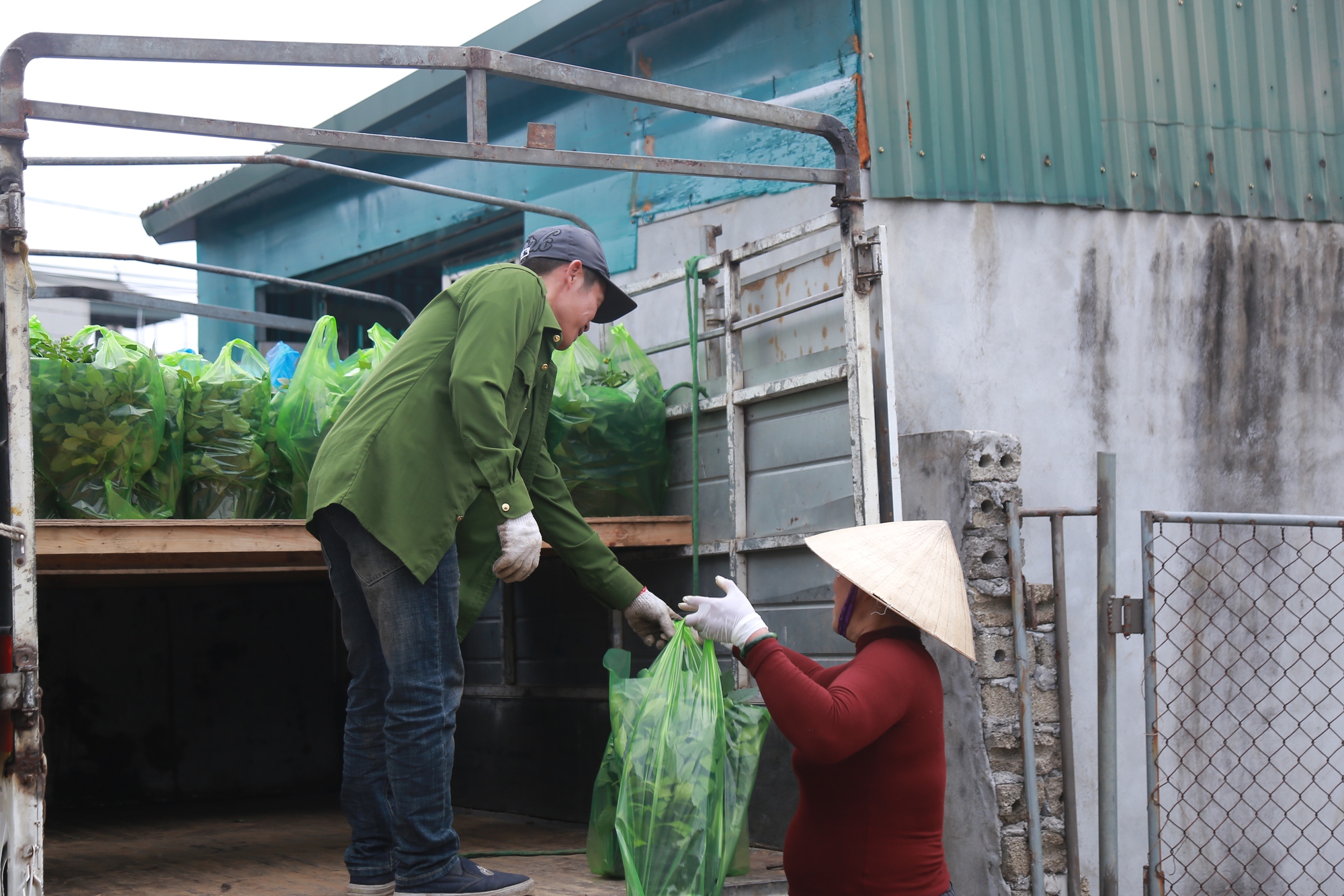 Cảnh tất bật tại làng hoa Ninh Phúc , Ninh Bình những ngày cận Tết Nguyên đán 2026 - Ảnh 13. Cảnh tất bật tại làng hoa Ninh Phúc , Ninh Bình những ngày cận Tết Nguyên đán 2026 - Ảnh 13.