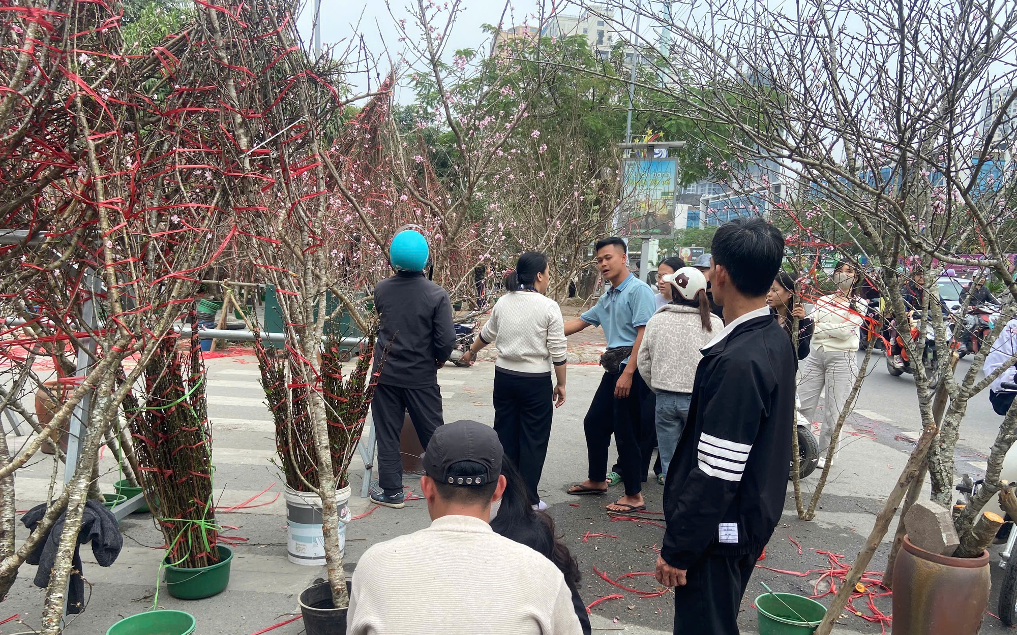 Đ&agrave;o rừng đắt kh&aacute;ch, bu&ocirc;n l&aacute;i phấn khởi thu về gần trăm triệu đồng mỗi ng&agrave;y