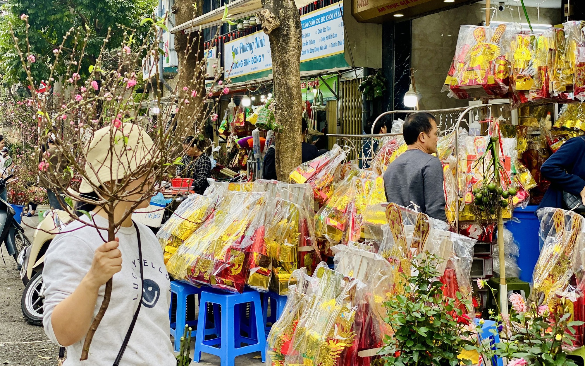 Đ&agrave;o mini gi&aacute; v&agrave;i chục ngh&igrave;n đồng/c&agrave;nh h&uacute;t kh&aacute;ch chơi dịp Tết 2026