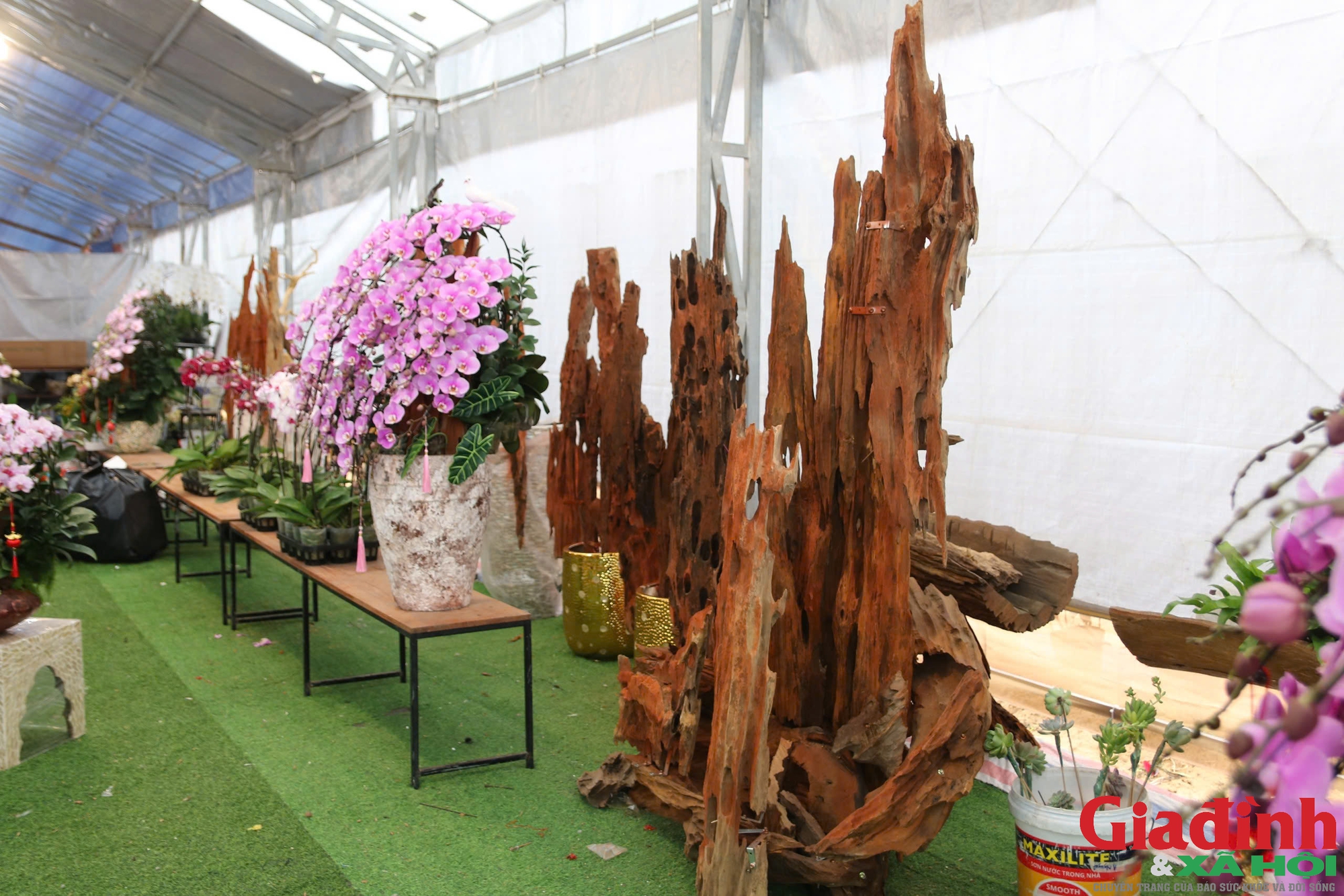 'H&aacute;i ra tiền' nghề cắm hoa Tết, cao điểm thu 4-5 triệu đồng/ng&agrave;y - Ảnh 8.