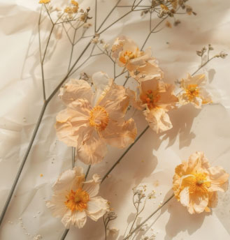 12 cung ho&agrave;ng đạo năm 2026 v&agrave; gam m&agrave;u may mắn quyết định vận tr&igrave;nh cả năm - Ảnh 2.