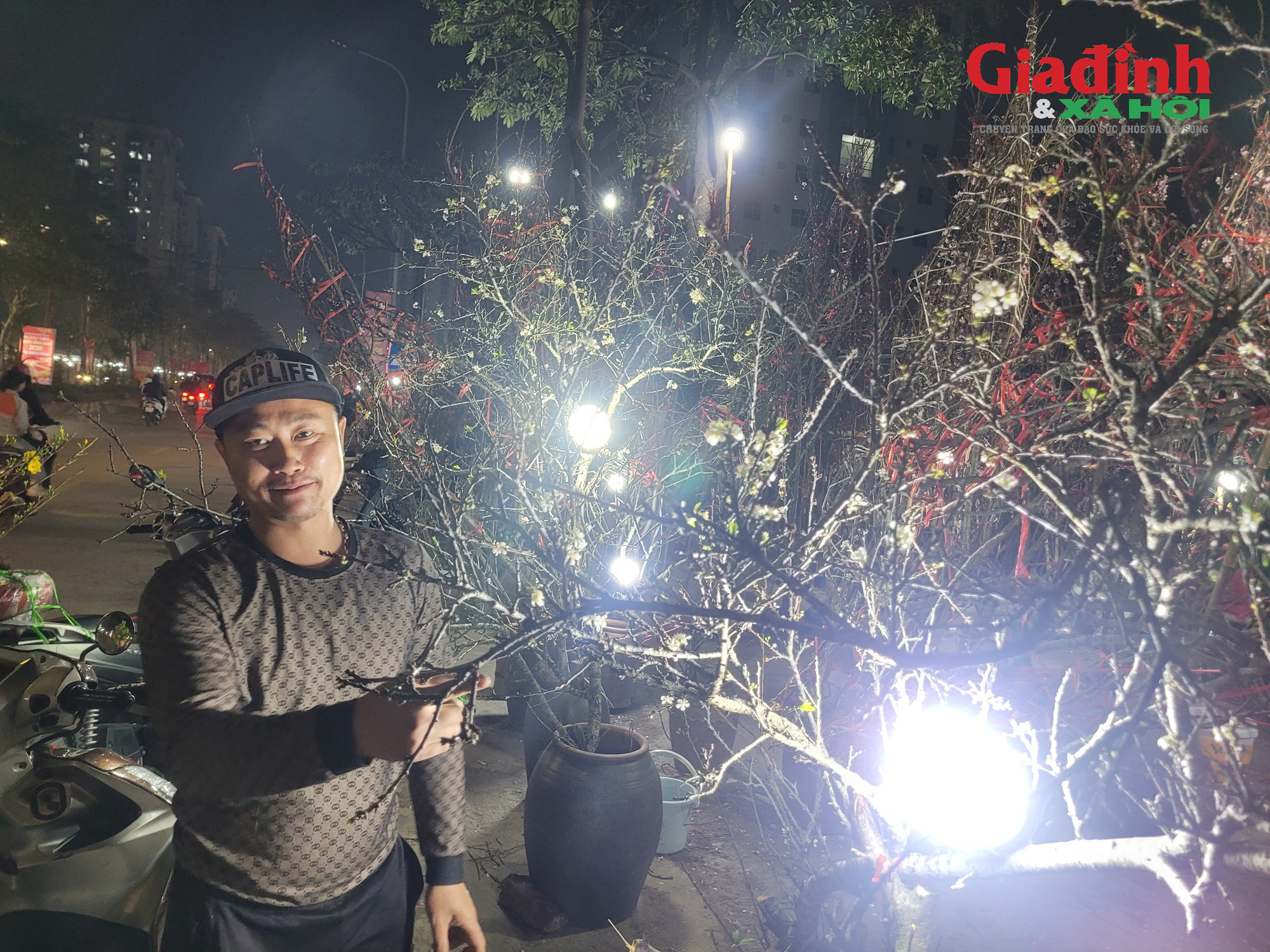 Giá cả thị trường cây cảnh Tết 2026 tại chợ hoa Tân Mai rực rỡ sắc màu - Ảnh 4. Giá cả thị trường cây cảnh Tết 2026 tại chợ hoa Tân Mai rực rỡ sắc màu - Ảnh 4.