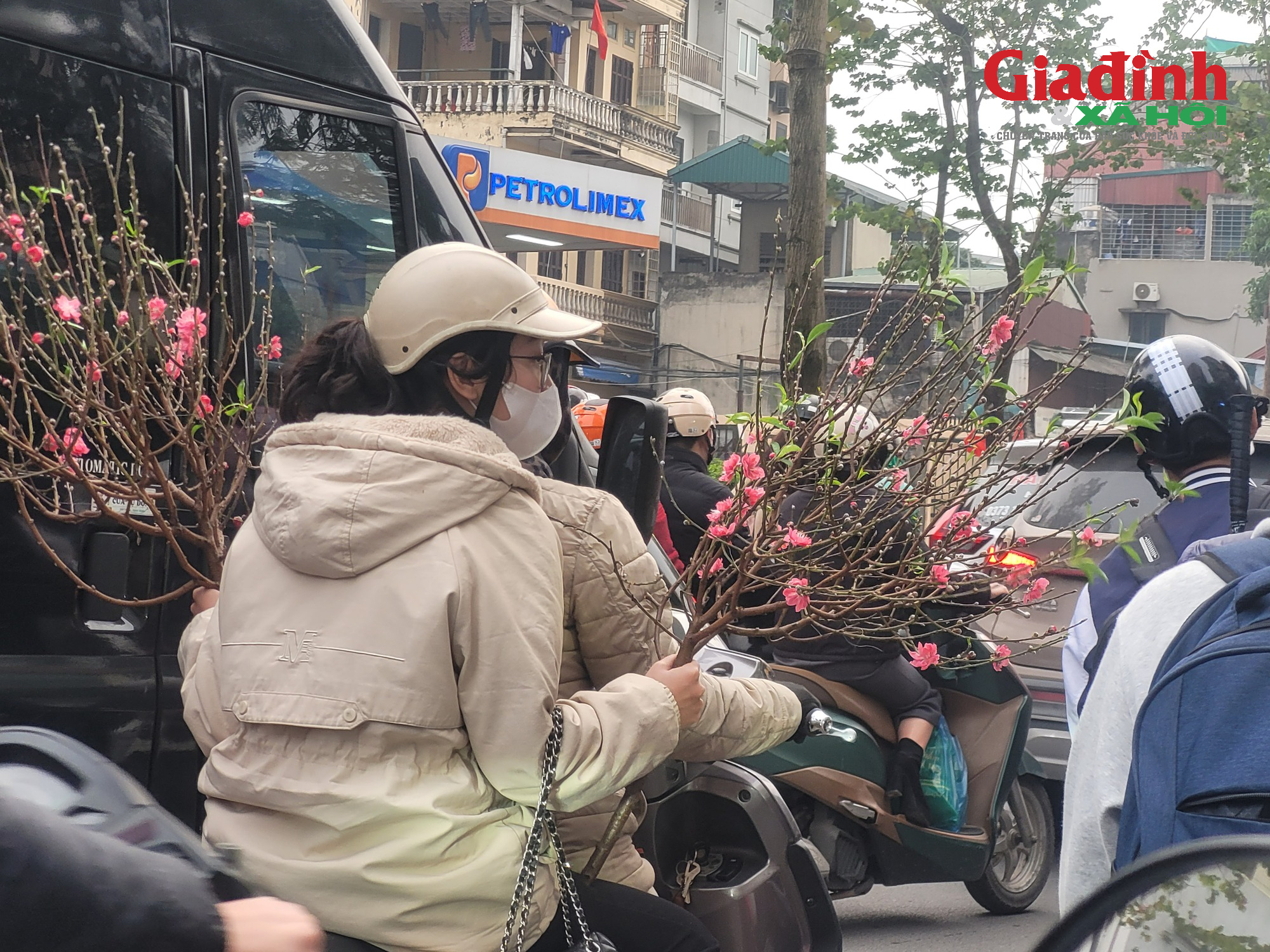 Giá cả thị trường cây cảnh Tết 2026 tại chợ hoa Tân Mai rực rỡ sắc màu - Ảnh 6. Giá cả thị trường cây cảnh Tết 2026 tại chợ hoa Tân Mai rực rỡ sắc màu - Ảnh 6.