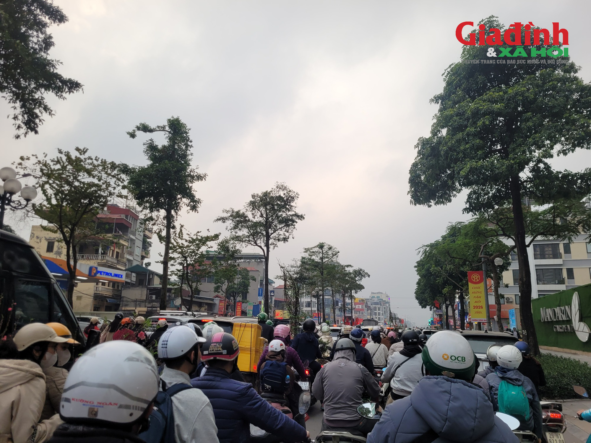 Giá cả thị trường cây cảnh Tết 2026 tại chợ hoa Tân Mai rực rỡ sắc màu - Ảnh 5. Giá cả thị trường cây cảnh Tết 2026 tại chợ hoa Tân Mai rực rỡ sắc màu - Ảnh 5.