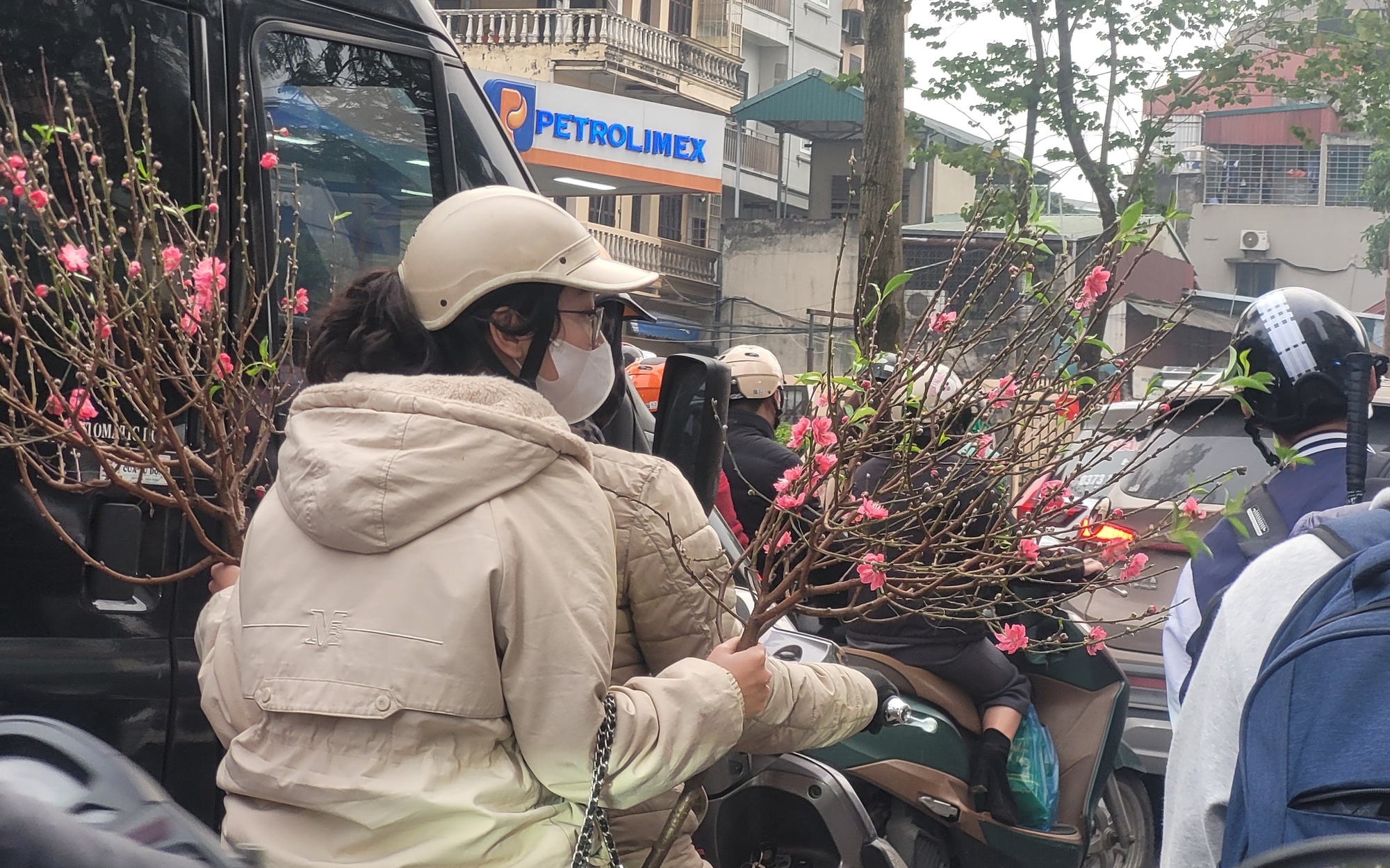Chợ Hoa Tân Mai: Điểm Hẹn Tết Đẹp Rực Rỡ, Ngập Tràn Sắc Xuân Vui Tươi