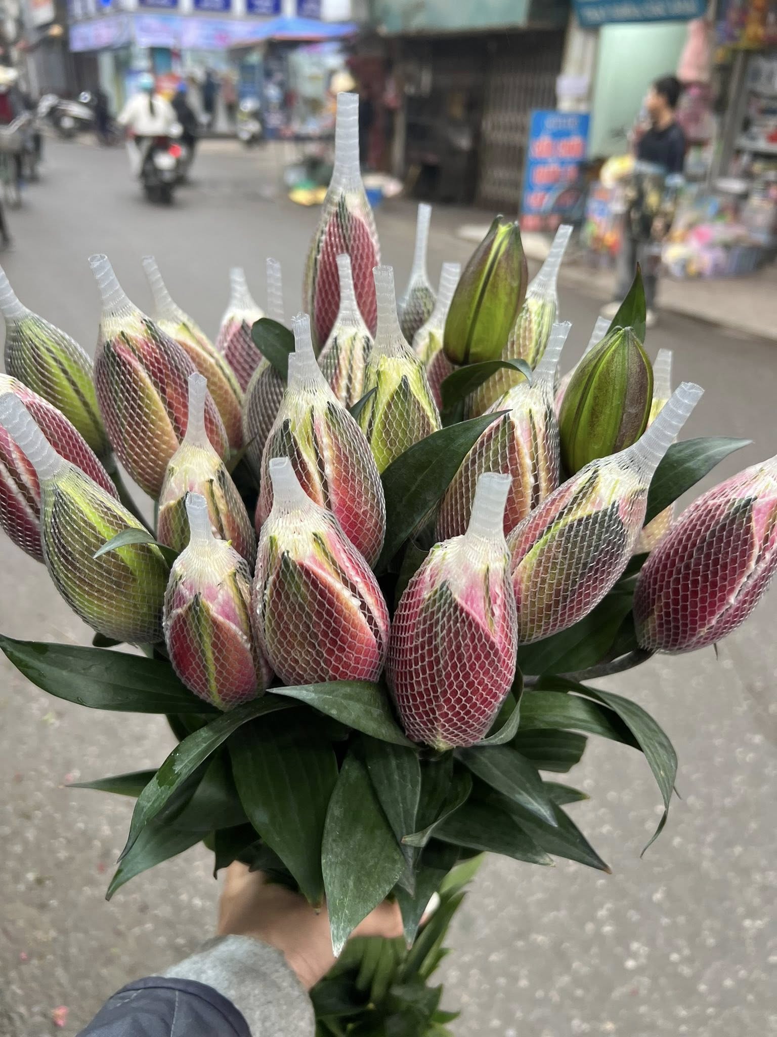 Giá hoa ly kép Tết Nguyên đán 2026 tăng cao , người tiêu dùng vẫn săn đón - Ảnh 3. Giá hoa ly kép Tết Nguyên đán 2026 tăng cao , người tiêu dùng vẫn săn đón - Ảnh 3.