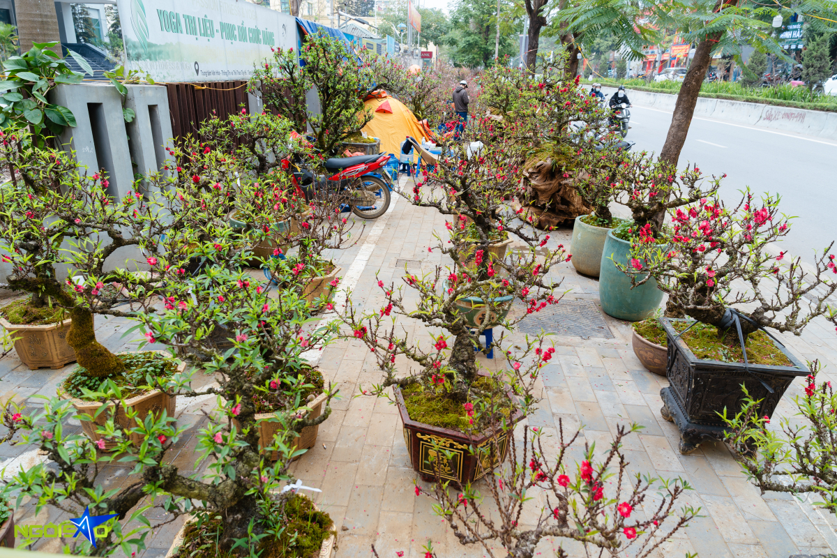 Cặp thuyền đ&agrave;o thất thốn gi&aacute; gần một tỷ đồng dịp Tết - Ảnh 1.