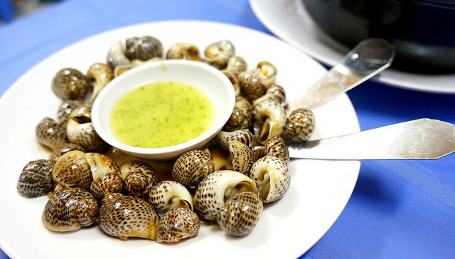 Ốc b&ocirc;ng l&agrave; g&igrave;? Gi&aacute; trị dinh dưỡng, c&ocirc;ng dụng v&agrave; c&aacute;ch ăn tốt cho sức khỏe - Ảnh 2.