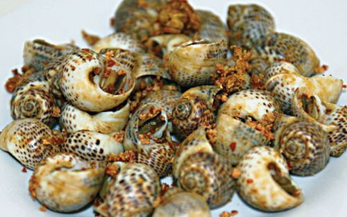 Ốc Bông: Món Ăn Tưởng Bình Thường Nhưng Chứa Loạt Vitamin Quý Cho Xương, Miễn Dịch Và Tim Mạch