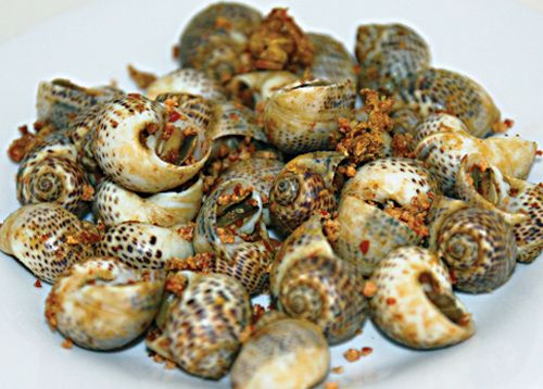 Ốc b&ocirc;ng l&agrave; g&igrave;? Gi&aacute; trị dinh dưỡng, c&ocirc;ng dụng v&agrave; c&aacute;ch ăn tốt cho sức khỏe - Ảnh 1.