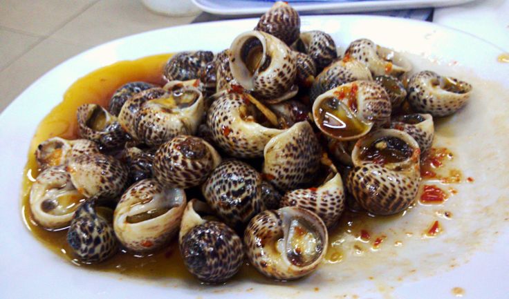 Ốc bông là gì? Giá trị dinh dưỡng, công dụng và cách ăn tốt cho sức khỏe - Ảnh 3.