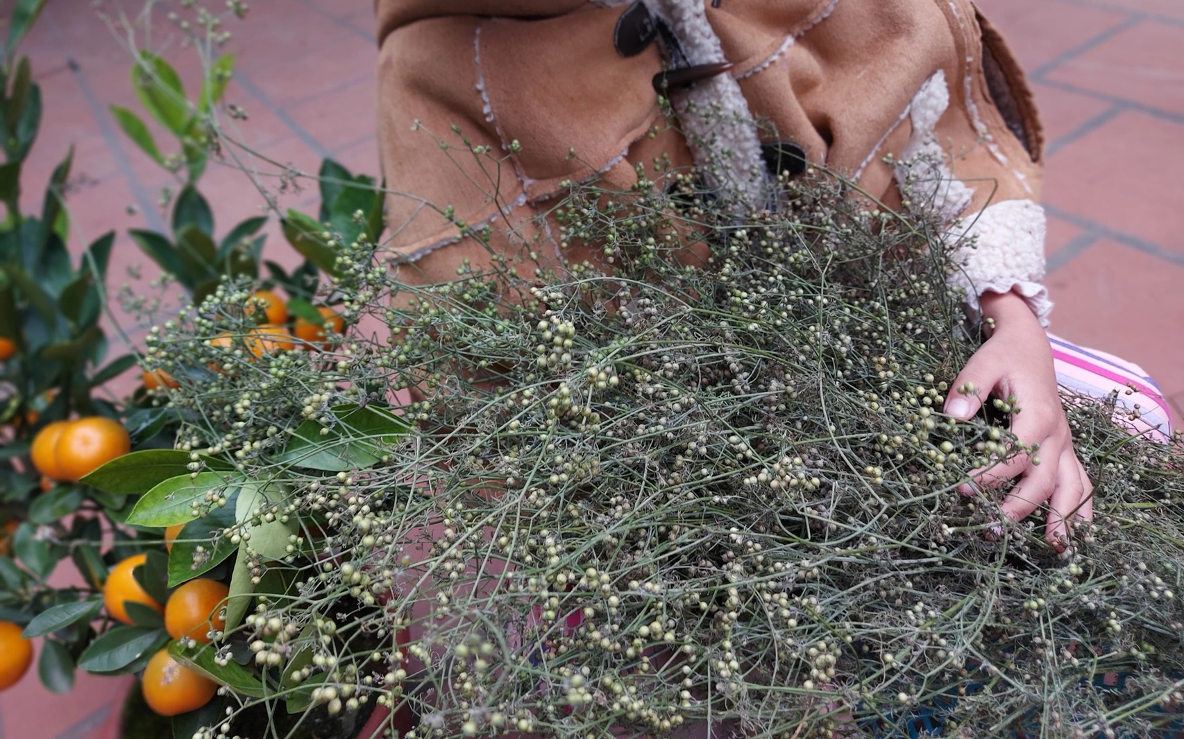 4 Tuổi x&ocirc;ng đất đầu năm 2026 mang lại may mắn v&agrave; t&agrave;i lộc cho gia chủ - Ảnh 1.