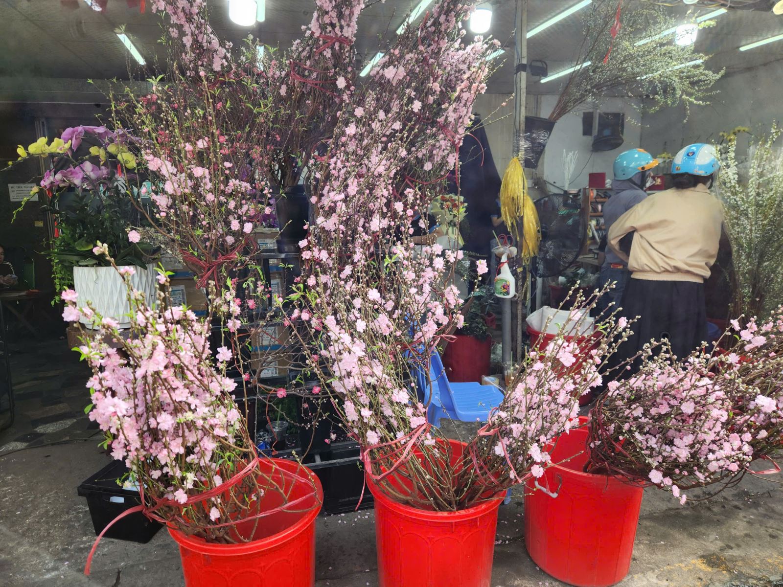 Chợ hoa lớn nhất TP Hồ Chí Minh đông nghịt người mua chiều 28 Tết - Ảnh 6. Chợ hoa lớn nhất TP Hồ Chí Minh đông nghịt người mua chiều 28 Tết - Ảnh 6.