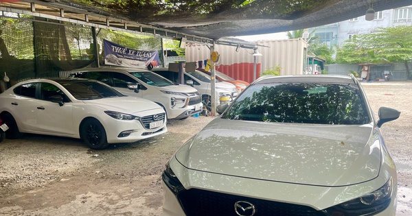Cơn Sốt Thuê Xe Tự Lái Dịp Tết: Giá Tăng Mạnh, Hết Loại Giá Rẻ