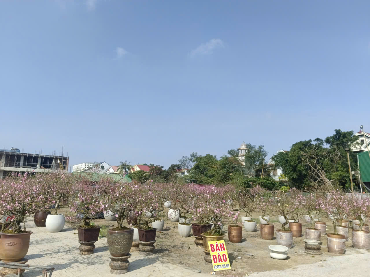 - Ảnh 5. - Ảnh 5.