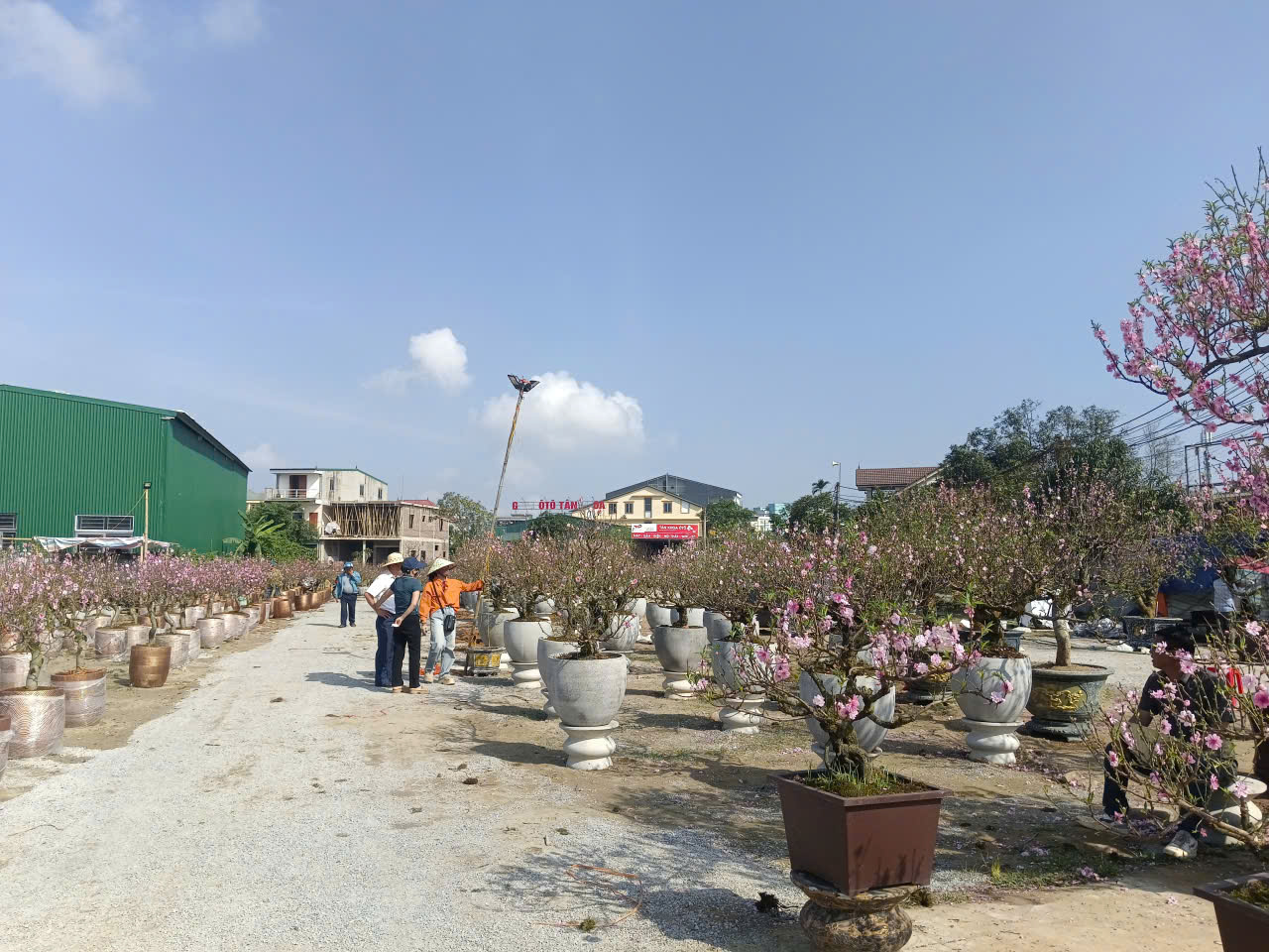 - Ảnh 6. - Ảnh 6.