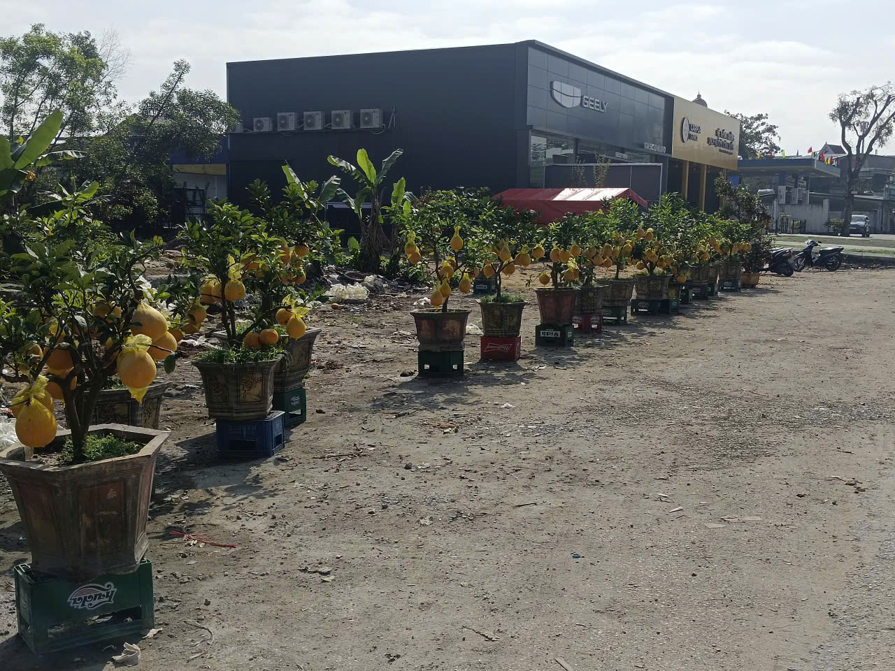 - Ảnh 7. - Ảnh 7.