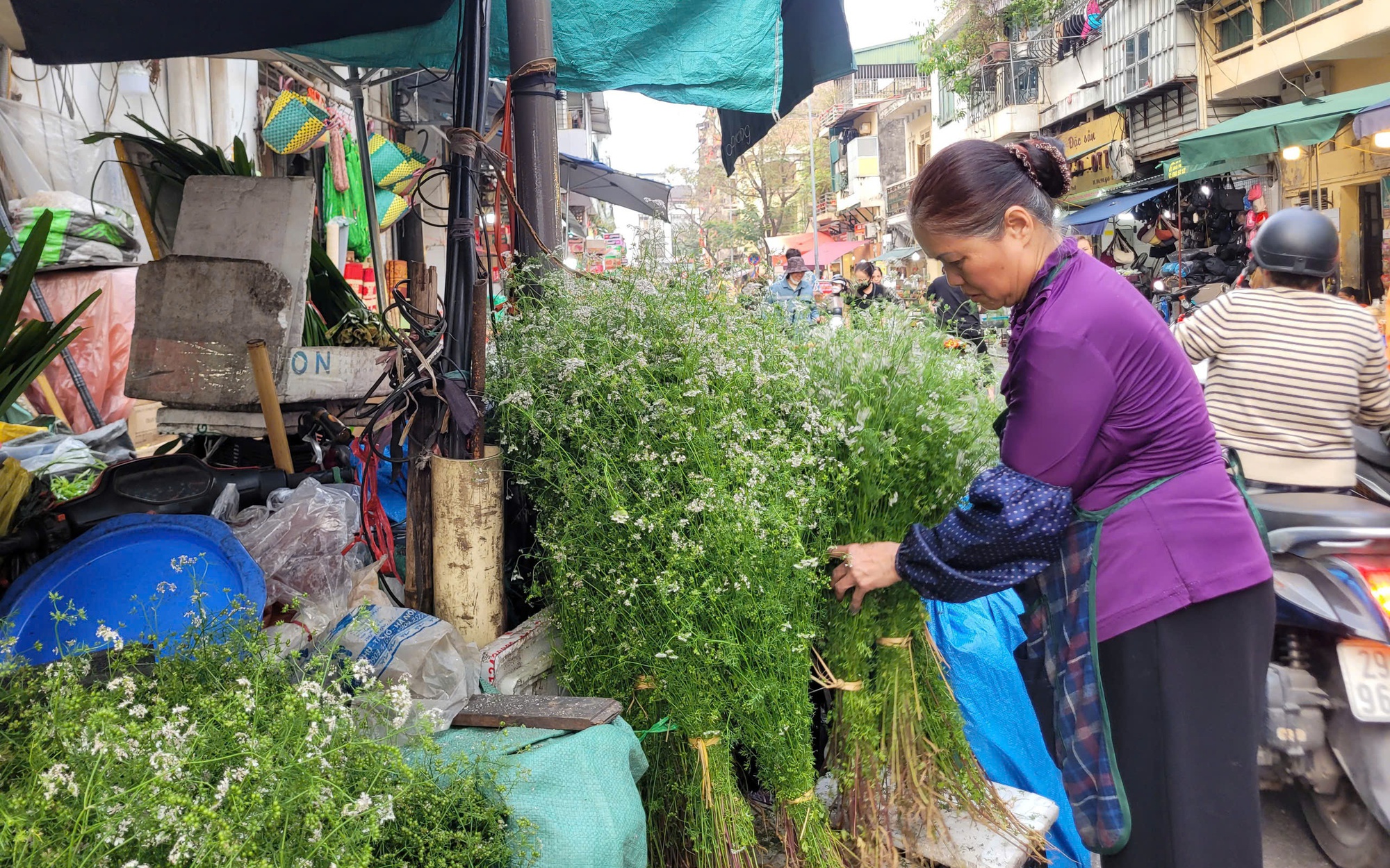 Khai chợ đầu xuân 2026: Chợ Đồng Xuân mở vận hội mới sau 135 năm hình thành và 30 năm đổi mới - Ảnh 7. Khai chợ đầu xuân 2026: Chợ Đồng Xuân mở vận hội mới sau 135 năm hình thành và 30 năm đổi mới - Ảnh 7.