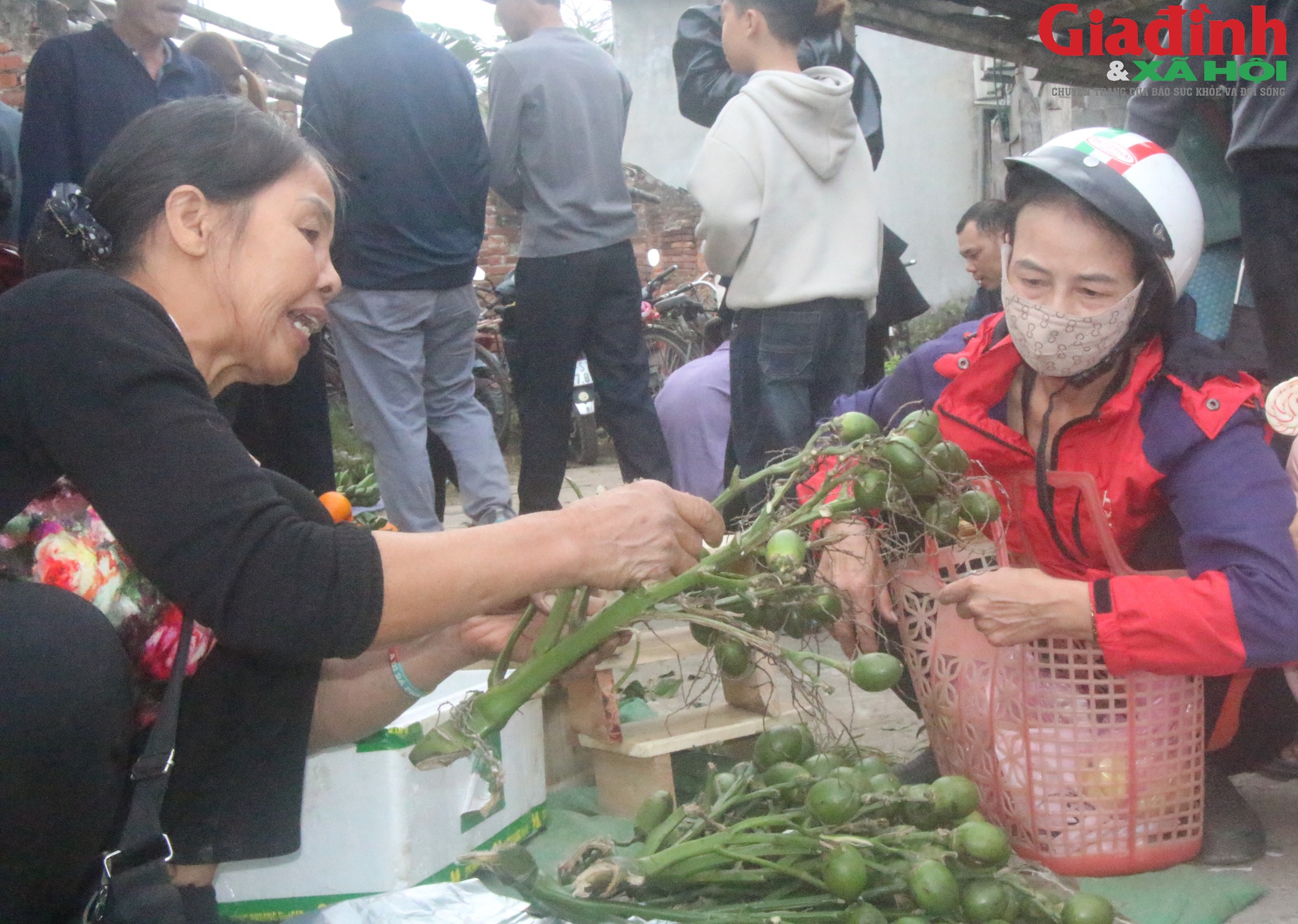 Chợ Vé cuối năm - Nơi lưu giữ những hoài niệm tìm về ký ức xưa - Ảnh 3. Chợ Vé cuối năm - Nơi lưu giữ những hoài niệm tìm về ký ức xưa - Ảnh 3.