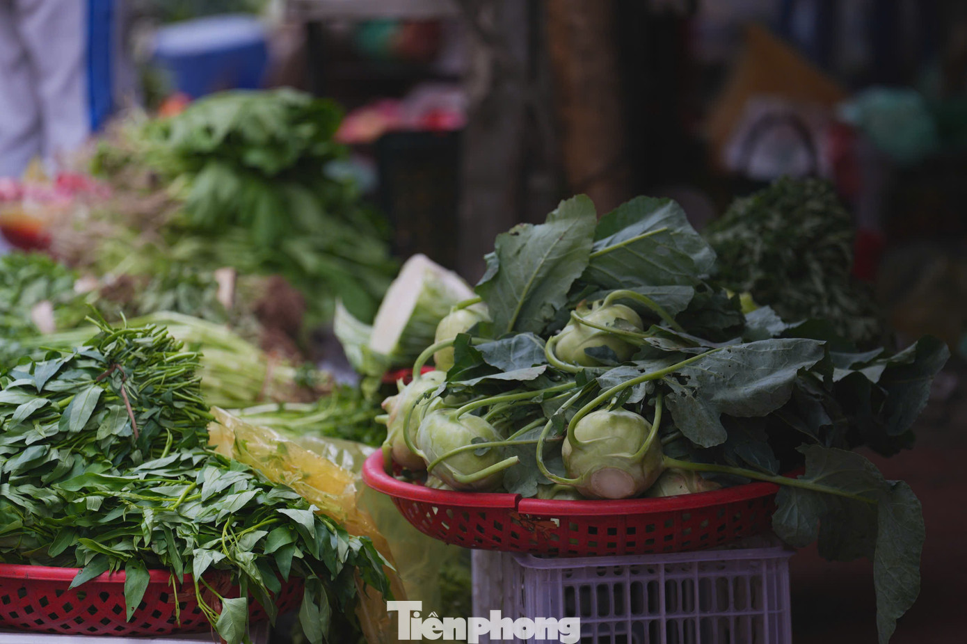 ​Chợ H&agrave; Nội nhộn nhịp ng&agrave;y lễ h&oacute;a v&agrave;ng m&ugrave;ng 3 Tết - Ảnh 17.