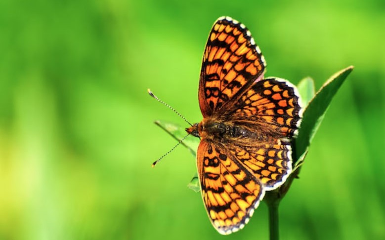 Ng&agrave;y sinh &Acirc;m lịch của người sống thọ, c&agrave;ng gi&agrave; c&agrave;ng hưởng ph&uacute;c, con ch&aacute;u ba đời khấm kh&aacute;