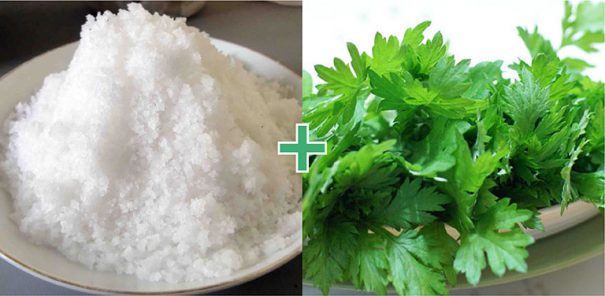 Ngải cứu &ndash; vị thuốc quen thuộc gi&uacute;p giảm đau nhức xương khớp m&ugrave;a lạnh- Ảnh 2.