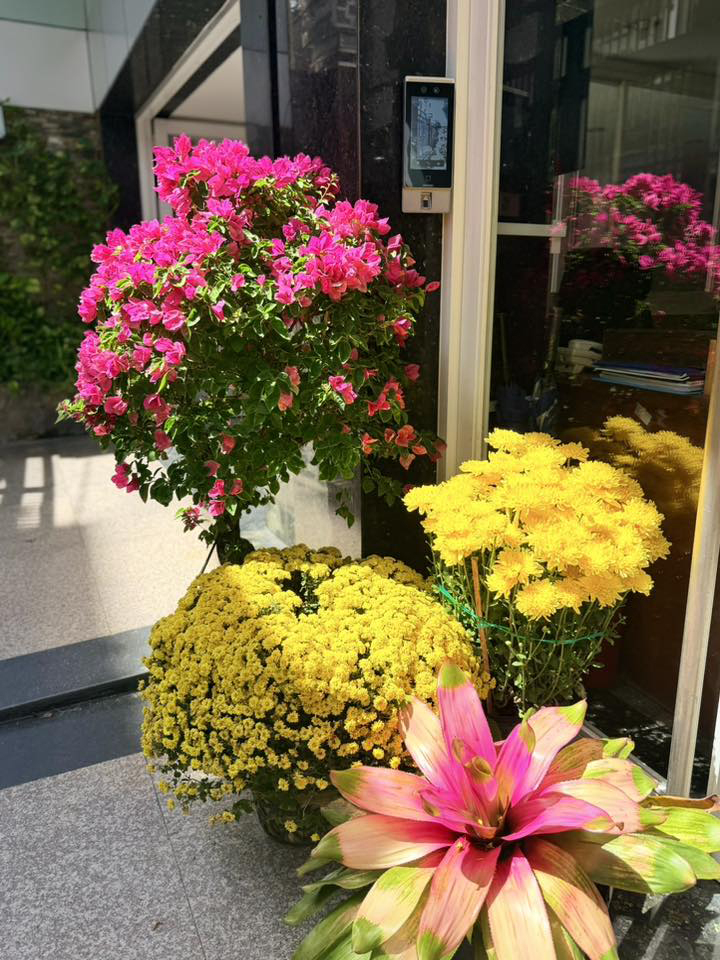 Ca sĩ Mỹ Lệ ở tuổi 54 sống vi&ecirc;n m&atilde;n b&ecirc;n biệt thự 1 . 000 M2 tại TP HCM - Ảnh 4.