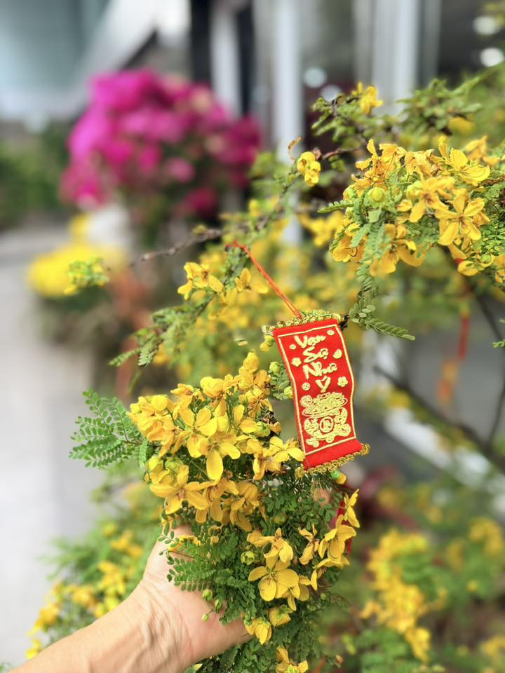 Ca sĩ Mỹ Lệ ở tuổi 54 sống vi&ecirc;n m&atilde;n b&ecirc;n biệt thự 1 . 000 M2 tại TP HCM - Ảnh 6.