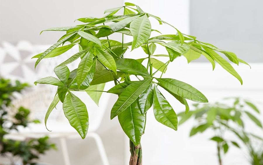 V&igrave; sao ch&uacute;ng ta lại ki&ecirc;ng kỵ nếm thử m&oacute;n ăn trước khi c&uacute;ng? - Ảnh 4.