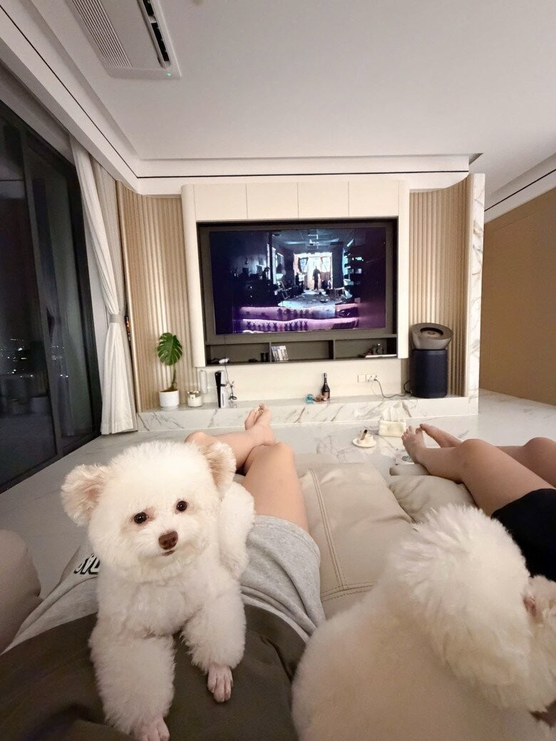 Không gian sống độc đáo của Hoa hậu Kỳ Duyên trong căn hộ mới 2026 - Ảnh 2. Không gian sống độc đáo của Hoa hậu Kỳ Duyên trong căn hộ mới 2026 - Ảnh 2.