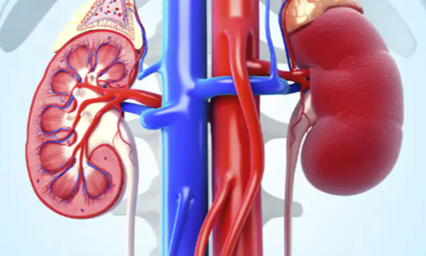 Người đàn ông phát hiện suy thận, nồng độ asen cao gấp 6 lần: Cảnh báo từ 1 thói quen ăn uống nhiều người Việt mắc phải - Ảnh 2.