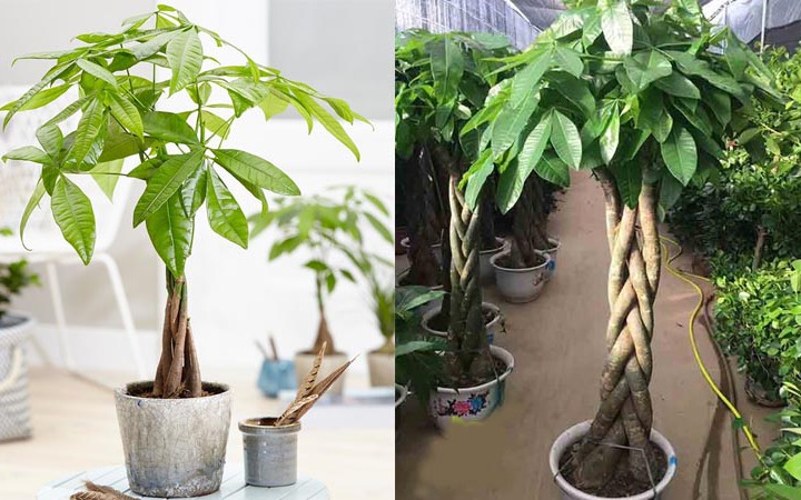 Những điều cần biết khi đi lễ chùa đầu năm 2026 - Ảnh 5. Những điều cần biết khi đi lễ chùa đầu năm 2026 - Ảnh 5.