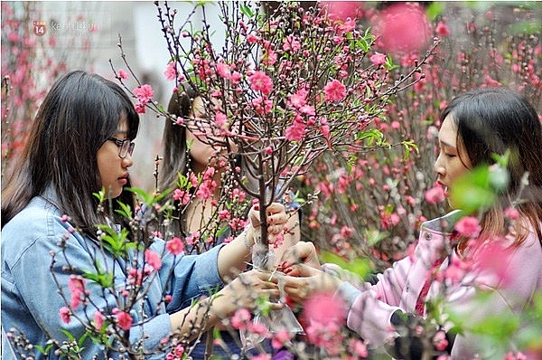 Tin mới nhất về thời tiết dịp Tết Nguy&ecirc;n đ&aacute;n 2026, miền Bắc c&oacute; r&eacute;t đậm, r&eacute;t hại? - Ảnh 1.