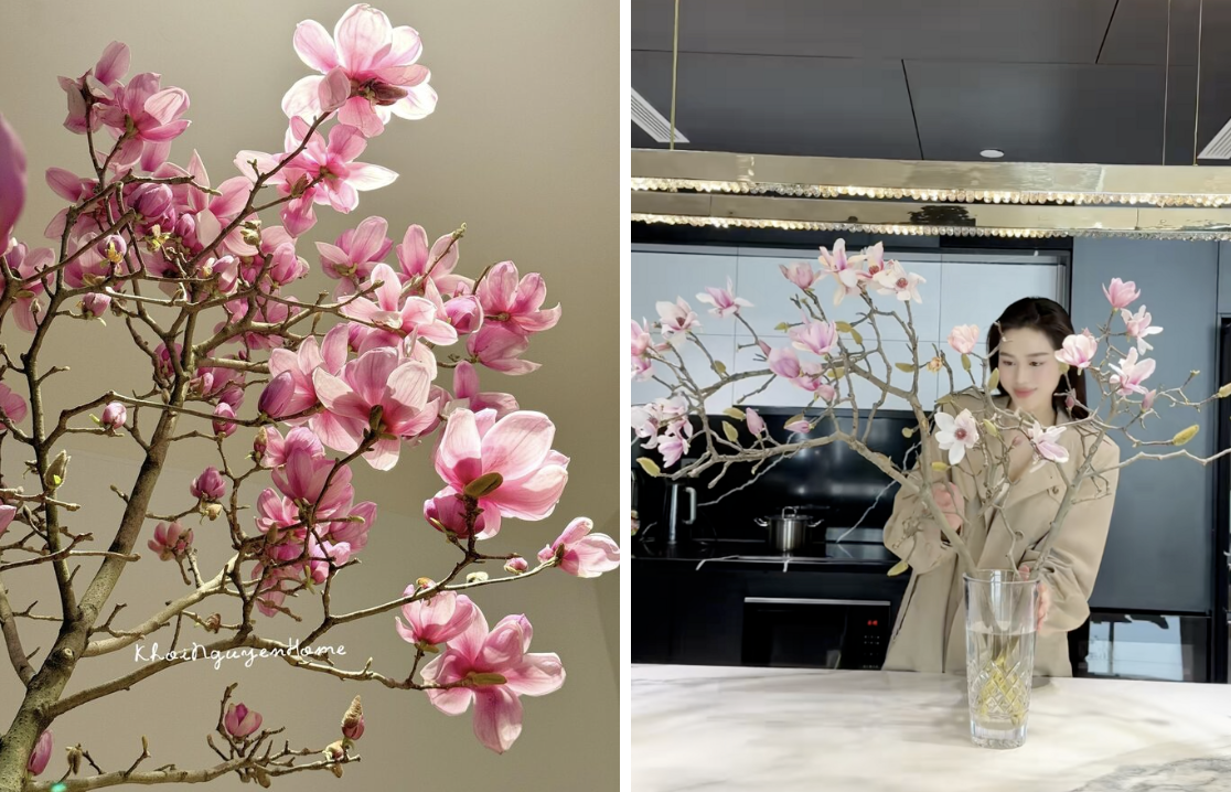 Lo&agrave;i hoa được Hoa hậu Đỗ Thị H&agrave; cắm trong dịp Tết B&iacute;nh Ngọ c&oacute; g&igrave; đặc biệt m&agrave; lại g&acirc;y sốt?