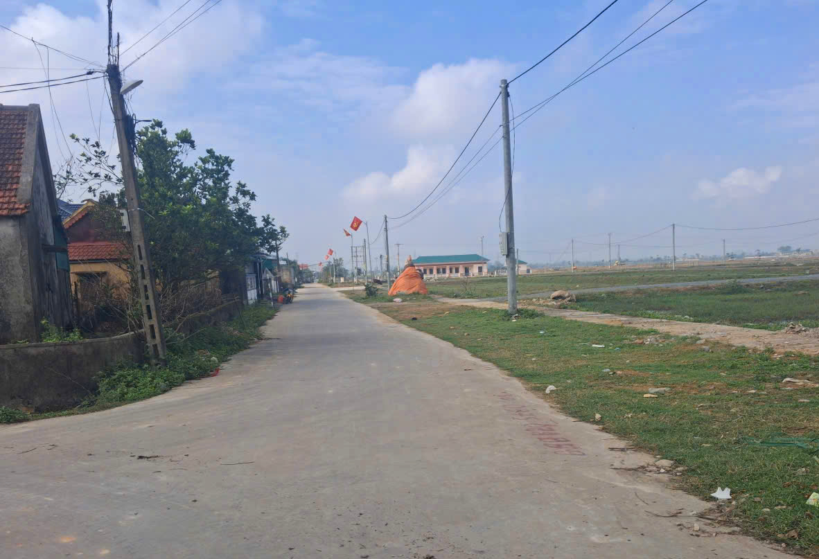 Sốt đất ăn theo quy hoạch ở Nghệ An, tr&uacute;ng đấu gi&aacute; rồi bỏ cọc - Ảnh 1.