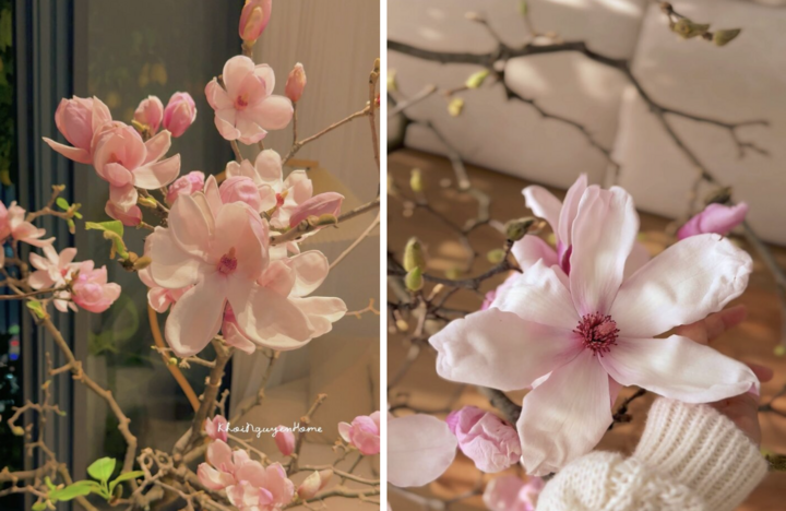 V&igrave; sao lo&agrave;i hoa được Hoa hậu Đỗ Thị H&agrave; cắm trong dịp Tết B&iacute;nh Ngọ lại g&acirc;y sốt? - Ảnh 8.