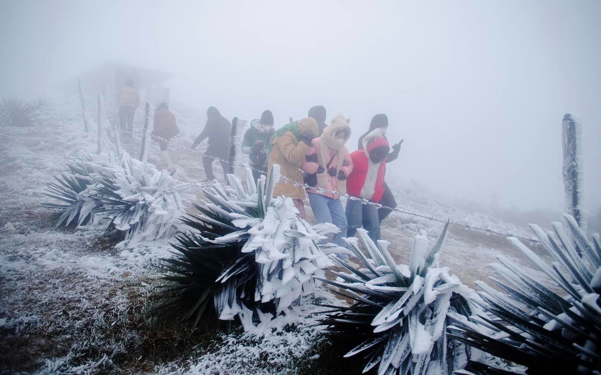 Thuế TP H&agrave; Nội th&ocirc;ng b&aacute;o n&oacute;ng về thay đổi trọng yếu về tiền sử dụng đất v&agrave; thu&ecirc; đất; Xuất hiện thủ đoạn mới li&ecirc;n quan đến thẻ Căn cước - Ảnh 1.
