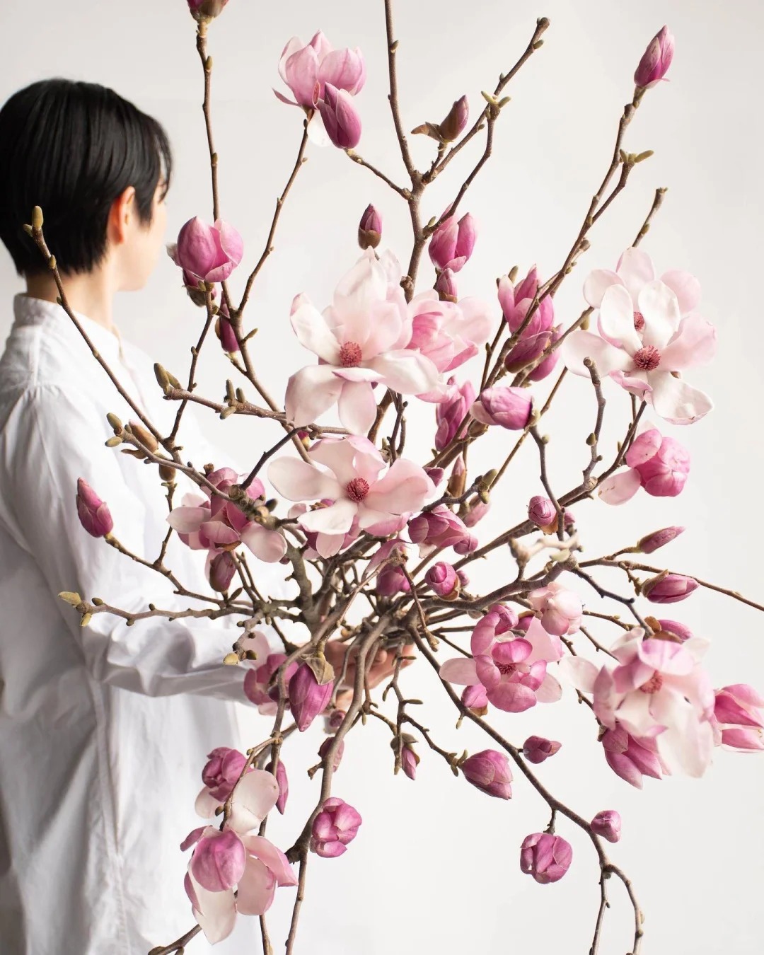 Lo&agrave;i hoa được Hoa hậu Đỗ Thị H&agrave; cắm trong dịp Tết B&iacute;nh Ngọ c&oacute; g&igrave; đặc biệt lại g&acirc;y sốt? - Ảnh 8.