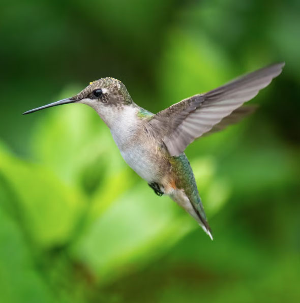 Những ng&agrave;y sinh &Acirc;m lịch được cho l&agrave; 'để ph&uacute;c cho con' - Ảnh 1.