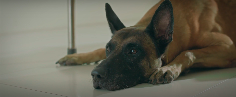 Đồng hồ đếm ngược - Tập 3: Th&agrave;nh l&aacute;i xe g&acirc;y tai nạn giao th&ocirc;ng, bị bạn th&acirc;n v&agrave; người y&ecirc;u cắm sừng - Ảnh 27.