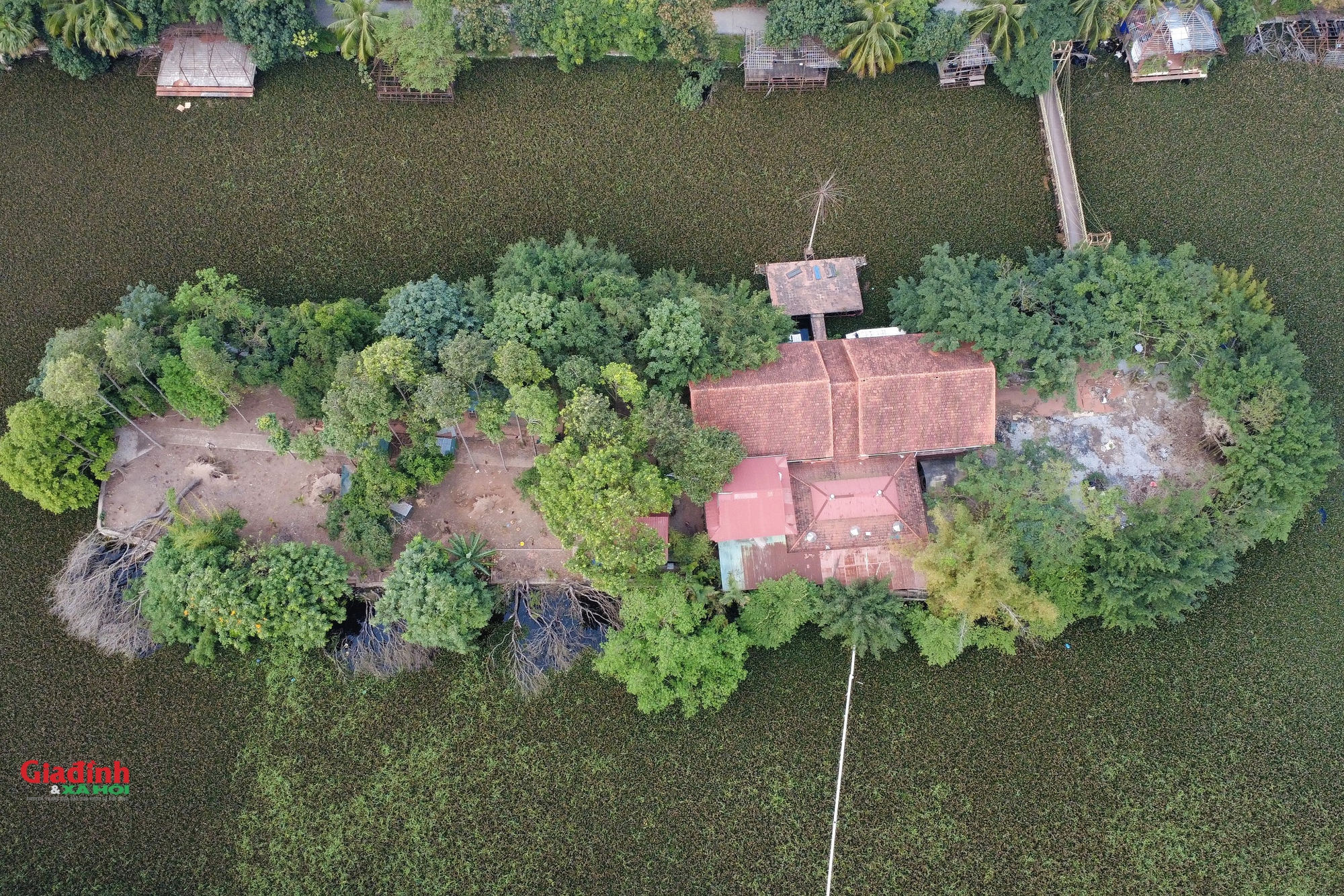 C&ocirc;ng vi&ecirc;n sinh th&aacute;i Vĩnh Hưng: Kỳ vọng xanh cho đời sống tại H&agrave; Nội năm 2026 - Ảnh 6.