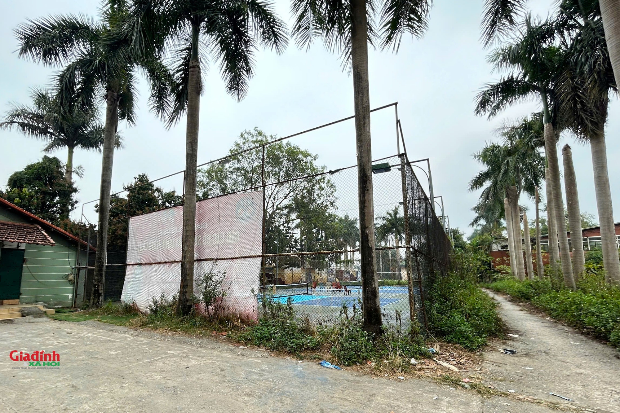 C&ocirc;ng vi&ecirc;n sinh th&aacute;i Vĩnh Hưng: Kỳ vọng xanh cho đời sống tại H&agrave; Nội năm 2026 - Ảnh 7.