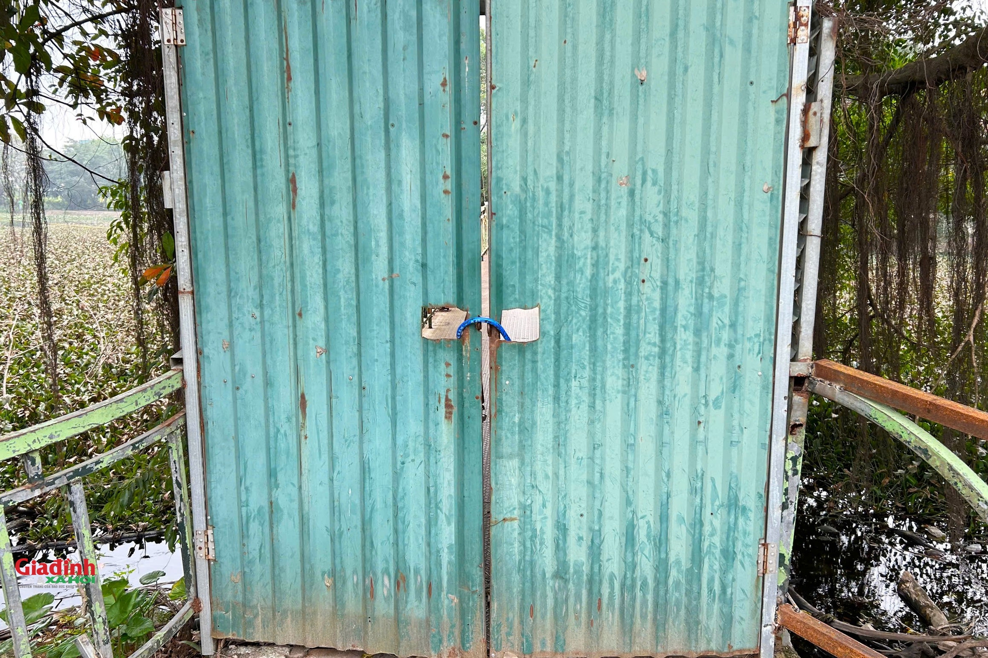 C&ocirc;ng vi&ecirc;n sinh th&aacute;i Vĩnh Hưng: Kỳ vọng xanh cho đời sống tại H&agrave; Nội năm 2026 - Ảnh 10.