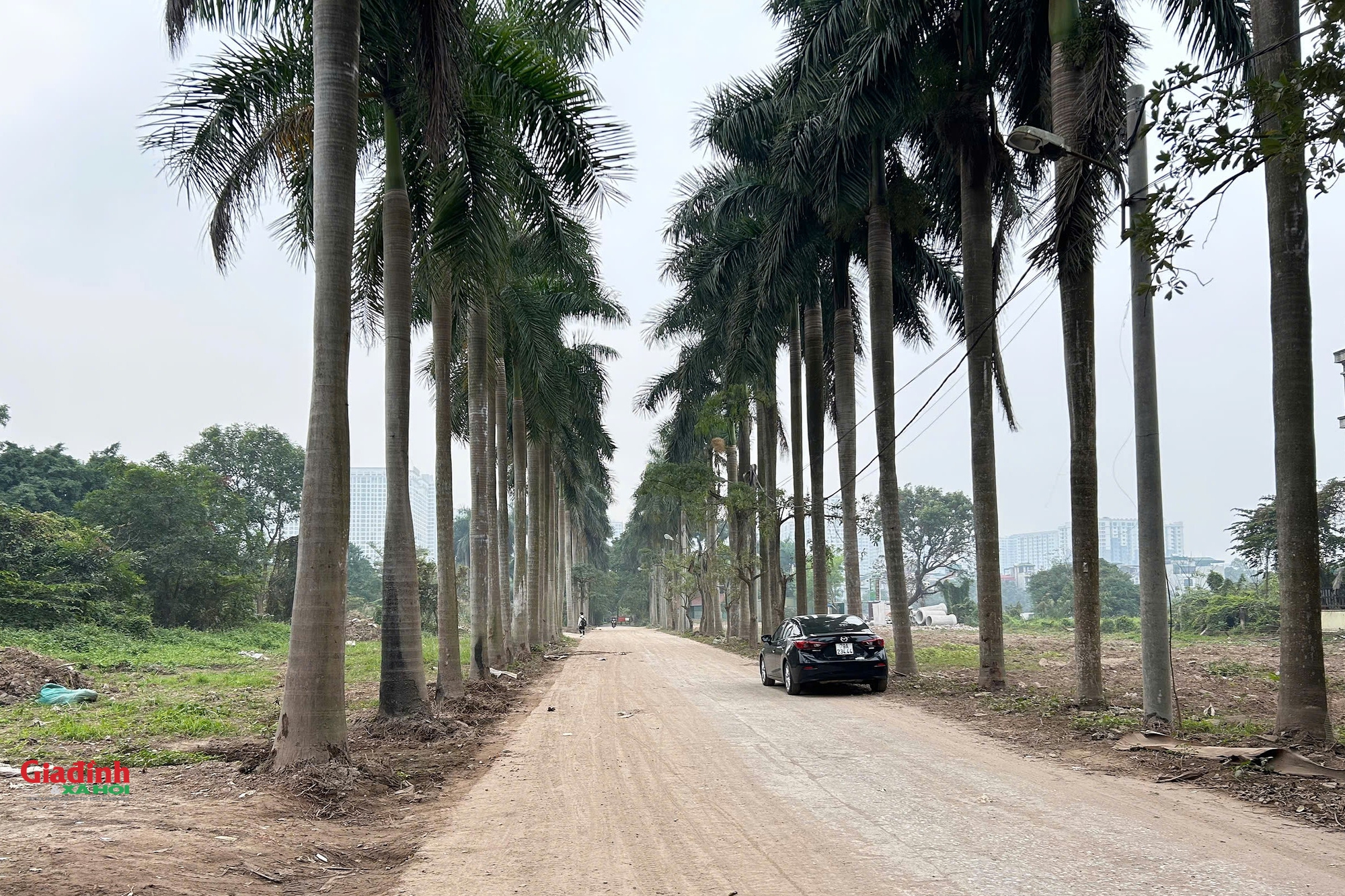 C&ocirc;ng vi&ecirc;n sinh th&aacute;i Vĩnh Hưng: Kỳ vọng xanh cho đời sống tại H&agrave; Nội năm 2026 - Ảnh 12.