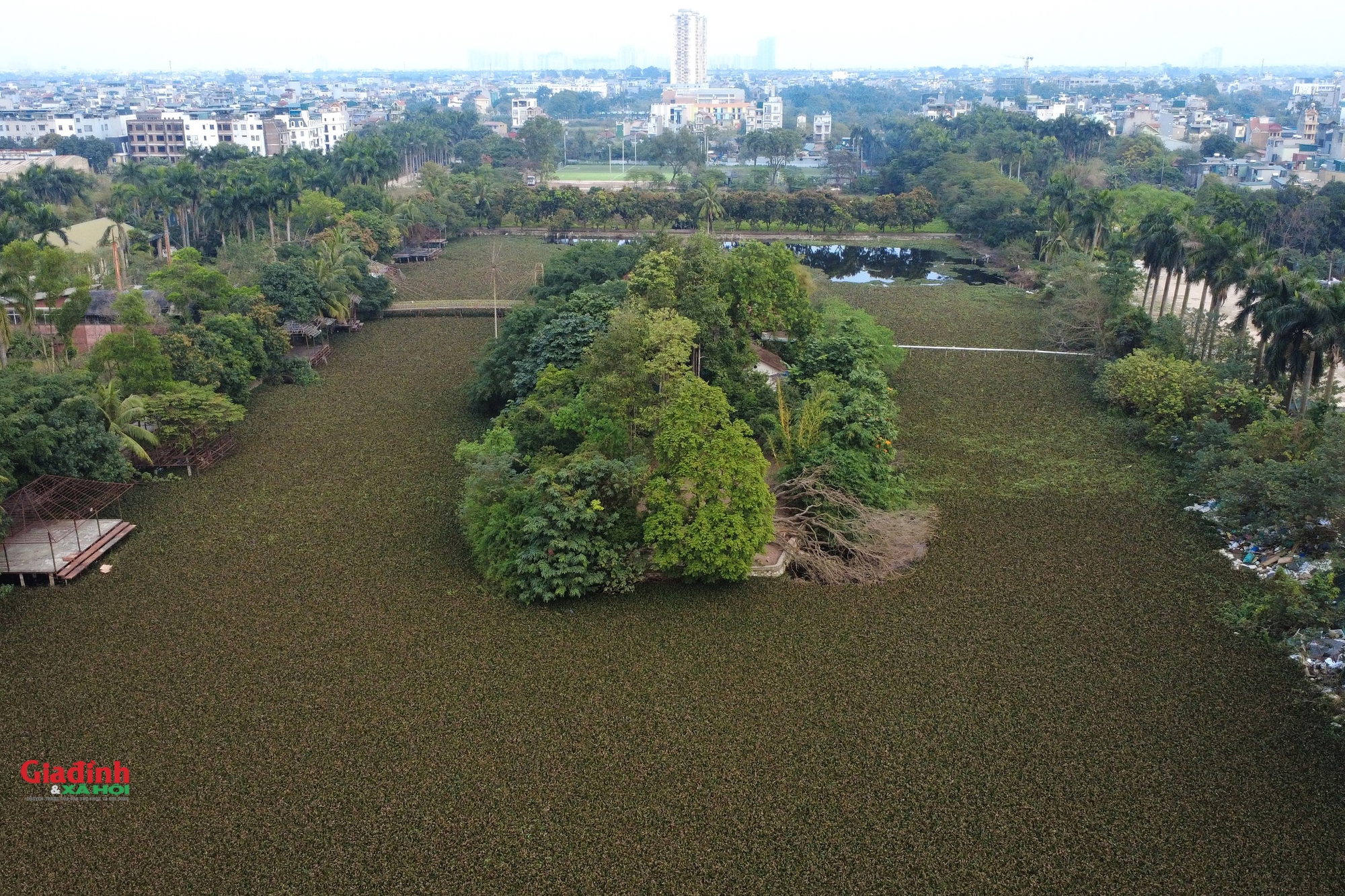 C&ocirc;ng vi&ecirc;n sinh th&aacute;i Vĩnh Hưng: Kỳ vọng xanh cho đời sống tại H&agrave; Nội năm 2026 - Ảnh 13.