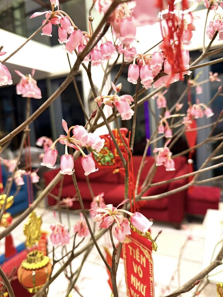 C&agrave;nh đ&agrave;o chu&ocirc;ng Y&ecirc;n Tử lạ mắt "vượt ng&agrave;n tr&ugrave;ng" đến tay Đ&agrave;m Vĩnh Hưng: "Lung linh v&agrave; qu&yacute; lắm" - Ảnh 5.