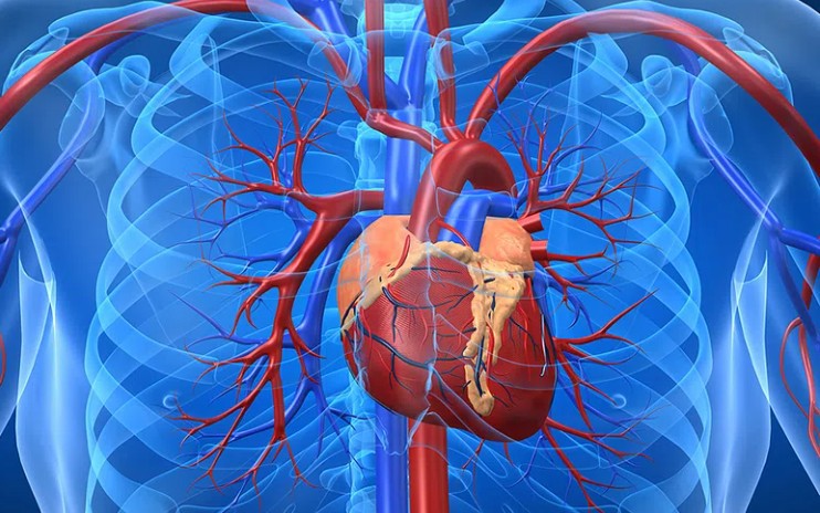 Người phụ nữ ở Quảng Ninh nguy kịch v&igrave; nhồi m&aacute;u cơ tim cấp, b&aacute;c sĩ khuyến c&aacute;o dấu hiệu cần nhập viện gấp