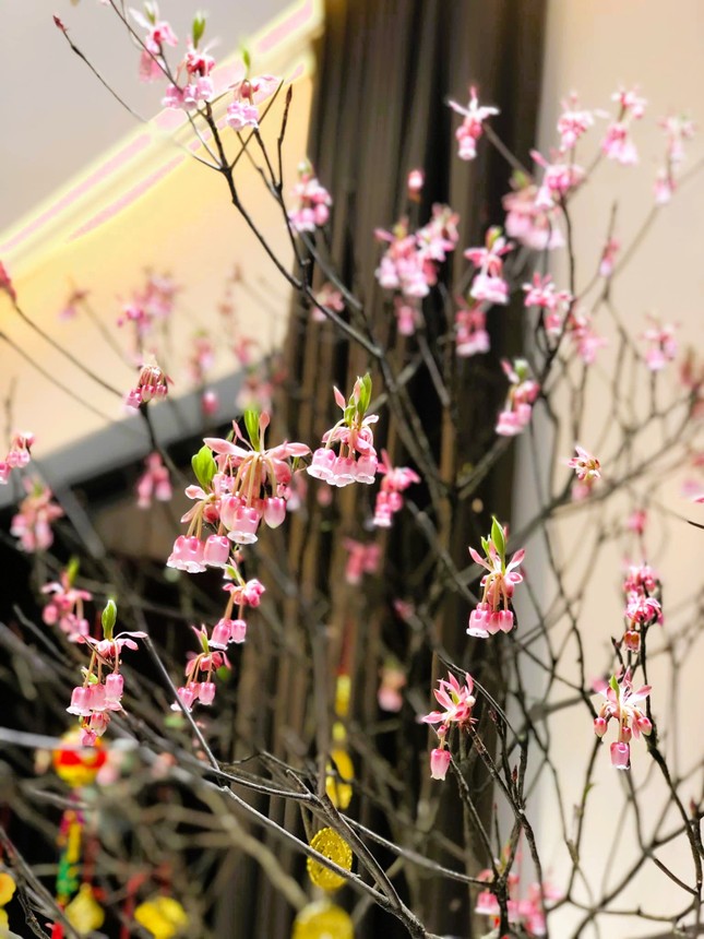 Độc, lạ đ&agrave;o chu&ocirc;ng Y&ecirc;n Tử được đại gia truy l&ugrave;ng chơi Tết - Ảnh 1.